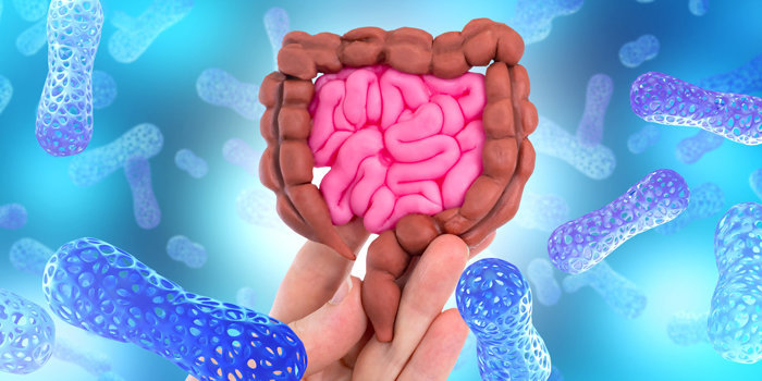 Взаимодействие кишечной микробиоты и организма человека